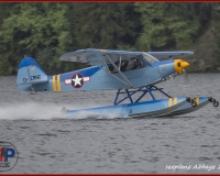 TSR Watermark - 0297